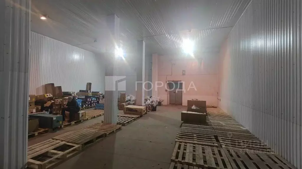 Помещение свободного назначения в Новосибирская область, Новосибирск ... - Фото 0