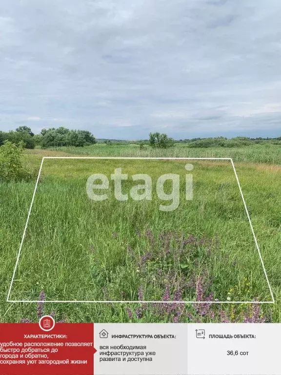 Участок в Белгородская область, Вейделевский район, с. Белый Колодезь ... - Фото 1