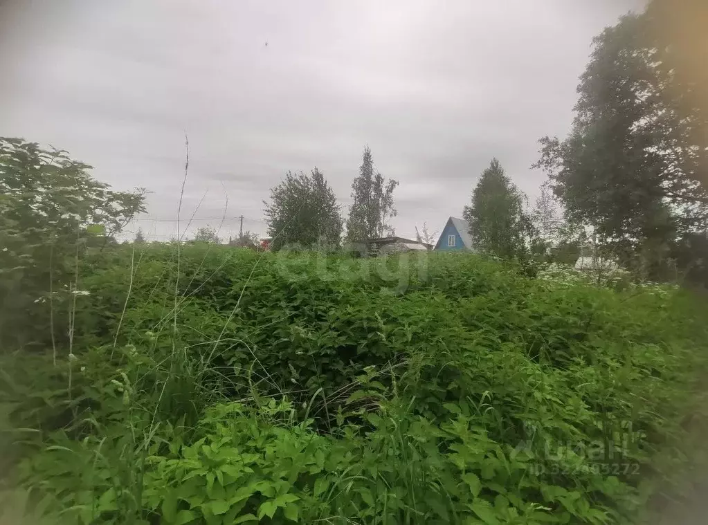 Дом в Вологодская область, Вологда Весна садоводческое товарищество, ... - Фото 2