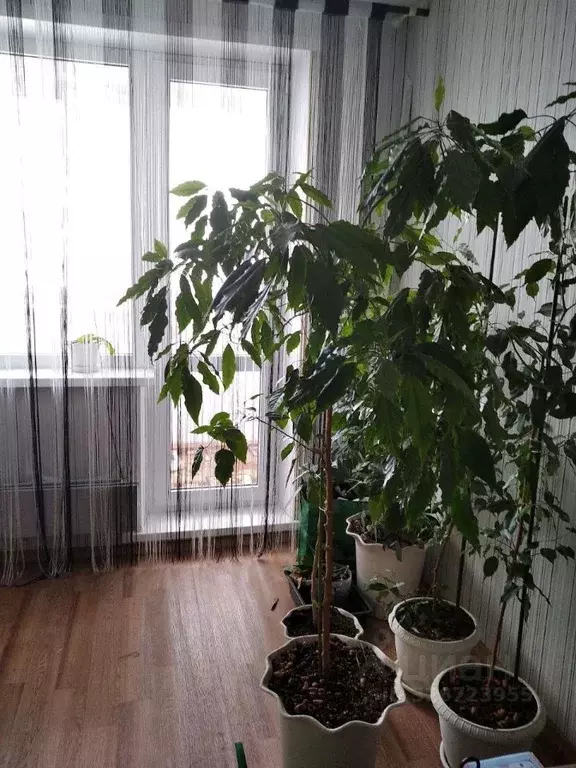 2-к кв. Самарская область, Самара Ташкентская ул., 146 (52.0 м) - Фото 1