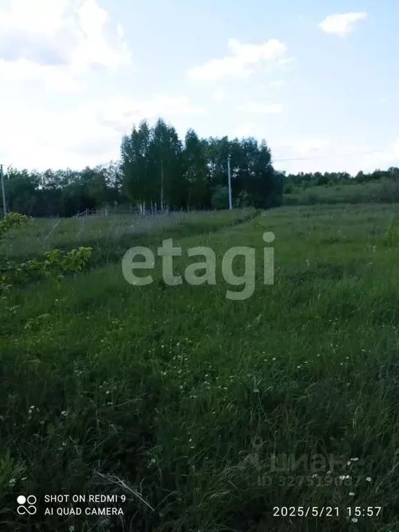 Участок в Мордовия, Кочкуровский район, с. Сабаево  (10.0 сот.) - Фото 2