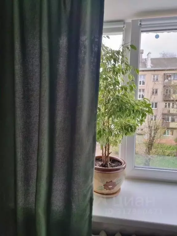 1-к кв. Ярославская область, Ярославль ул. Богдановича, 6 (32.0 м) - Фото 1