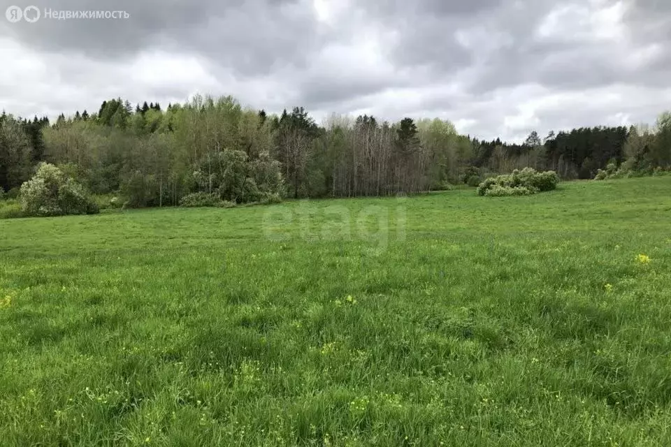 Участок в Новосибирский район, Верх-Тулинский сельсовет, посёлок ... - Фото 0