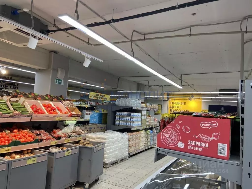 Торговая площадь в Нижегородская область, Нижний Новгород ул. ... - Фото 2