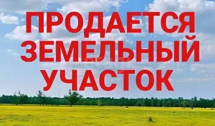 Участок в Брянская область, Брянский район, Добрунское с/пос, д. ... - Фото 1
