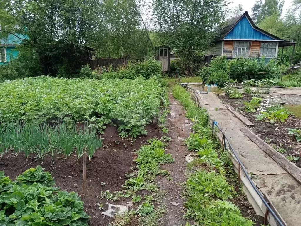 Купить Дачу В Нижнем Тагиле Свежие Объявления