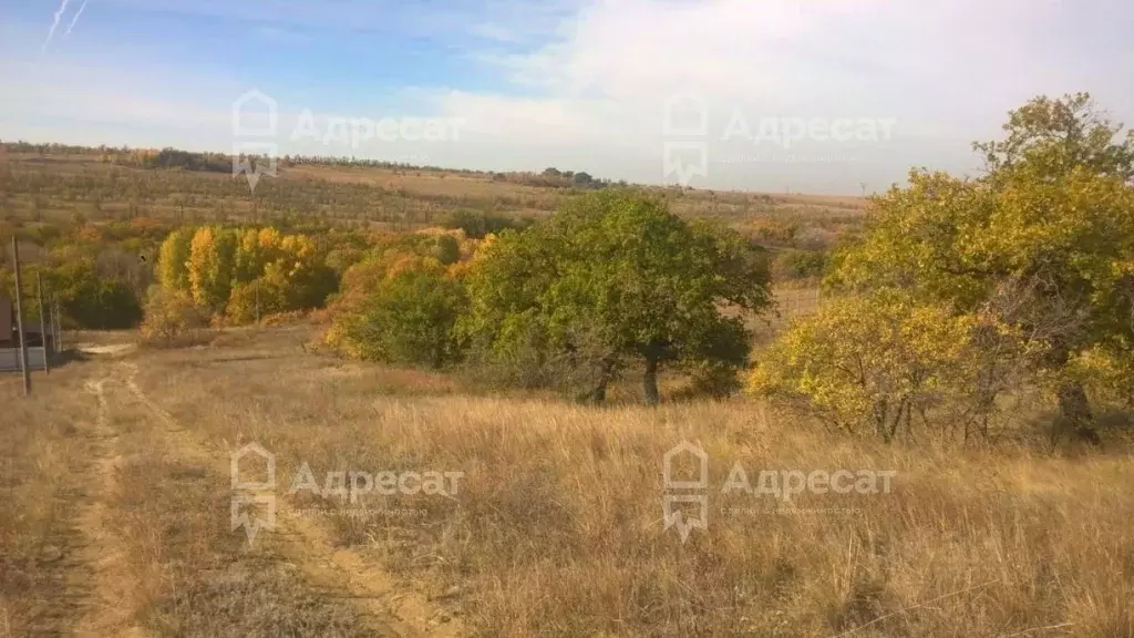 Участок в Волгоградская область, Городище рп, Усадьба СНТ ул. 4-я ... - Фото 1