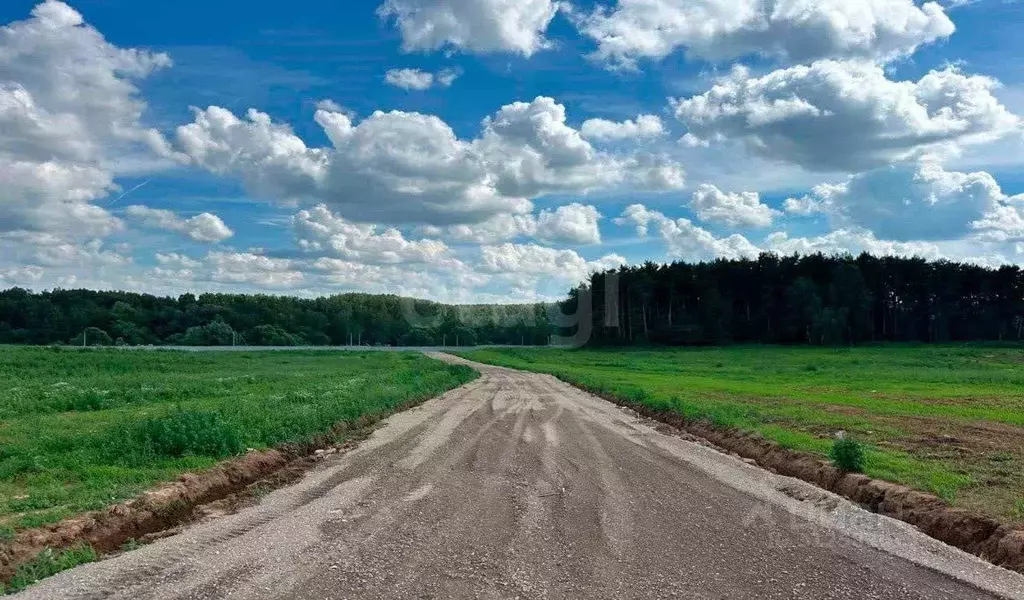 Участок в Московская область, Домодедово городской округ, с. ... - Фото 1