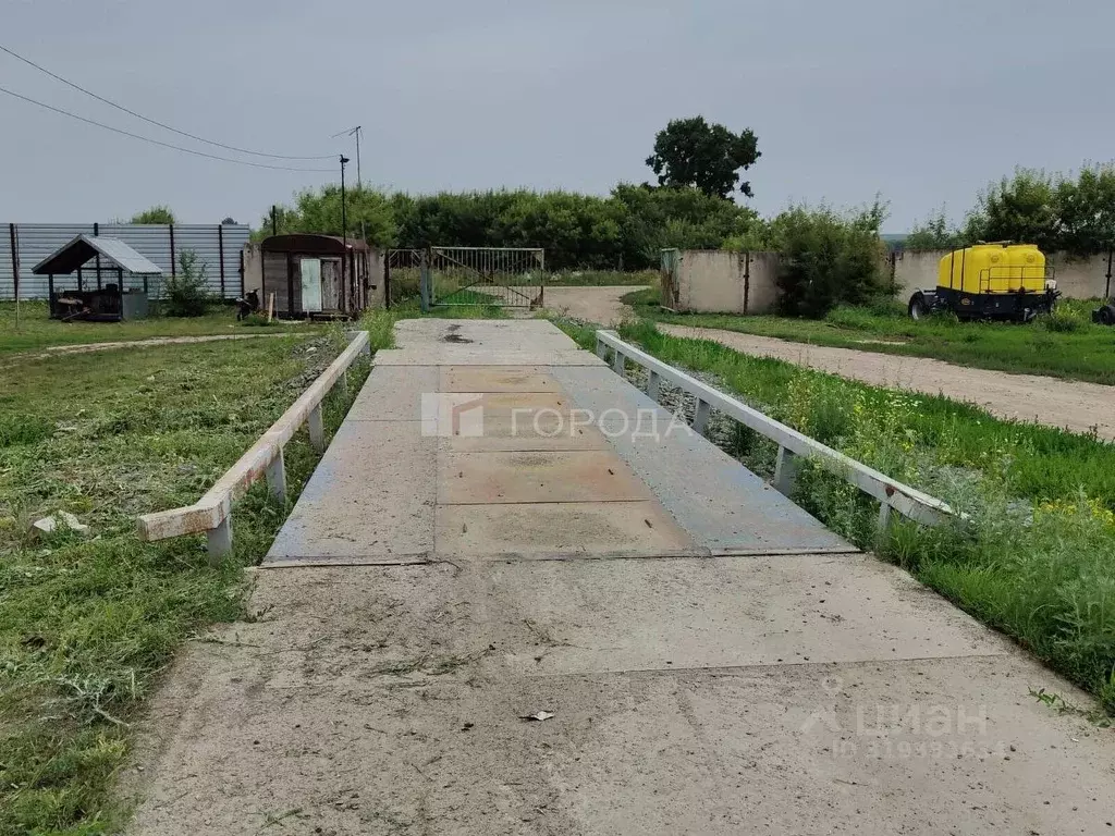 Офис в Алтайский край, Барнаул Молодежная ул., 18А (870 м) - Фото 0