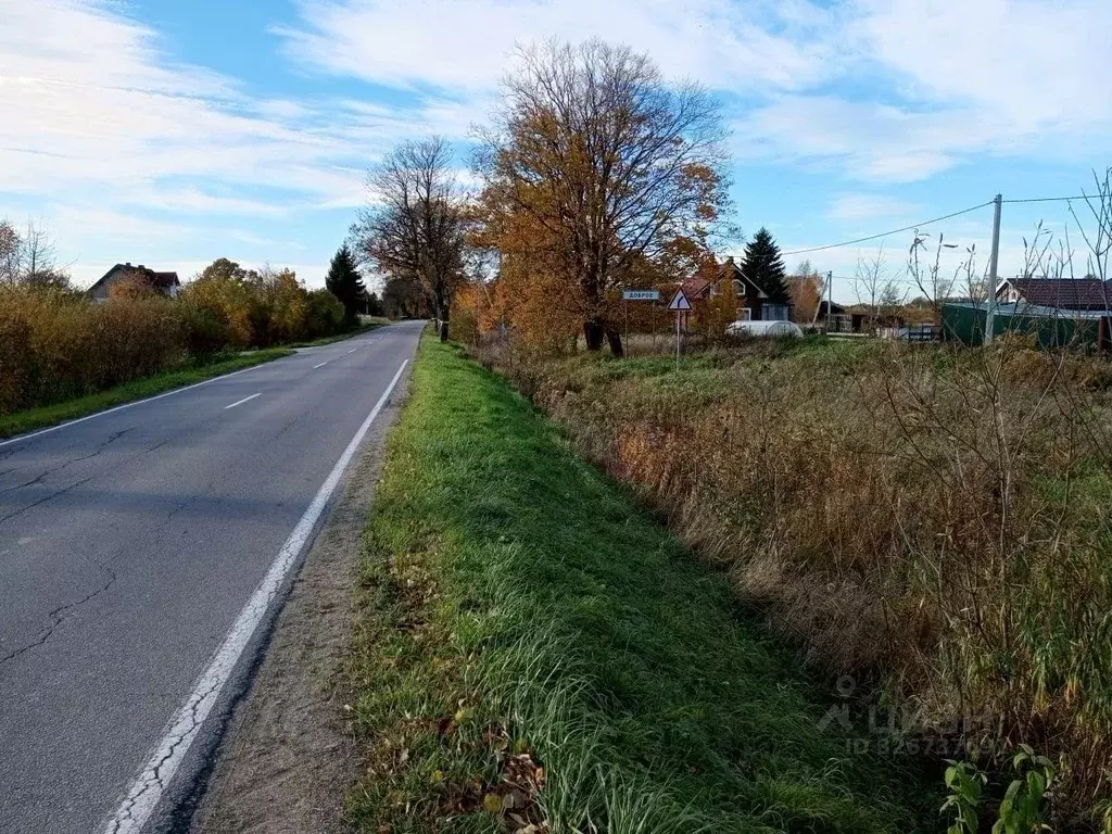 Участок в Калининградская область, Гурьевский муниципальный округ, ... - Фото 1
