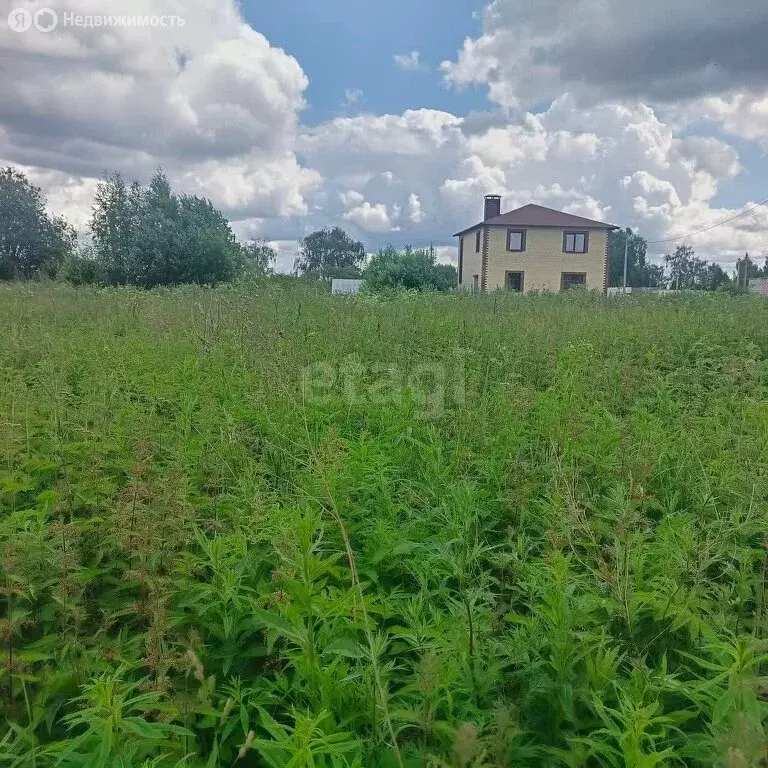 Участок в Костромской район, Бакшеевское сельское поселение, деревня ... - Фото 1