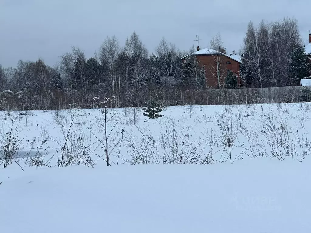 Участок в Московская область, Солнечногорск городской округ, д. ... - Фото 1