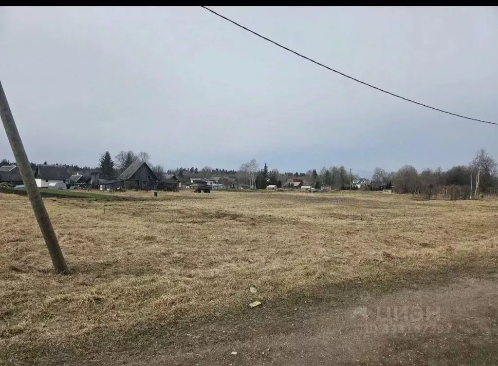 Участок в Ленинградская область, Волосовский район, Большеврудское ... - Фото 2