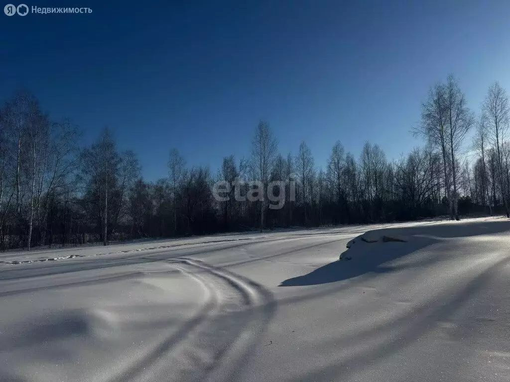 Участок в Искитимский район, Мичуринский сельсовет, дачное ... - Фото 1