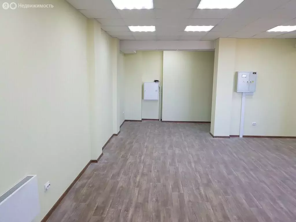 Помещение свободного назначения (54.9 м) - Фото 2