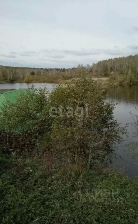 Участок в Башкортостан, Караидельский район, Урюш-Битуллинский ... - Фото 1