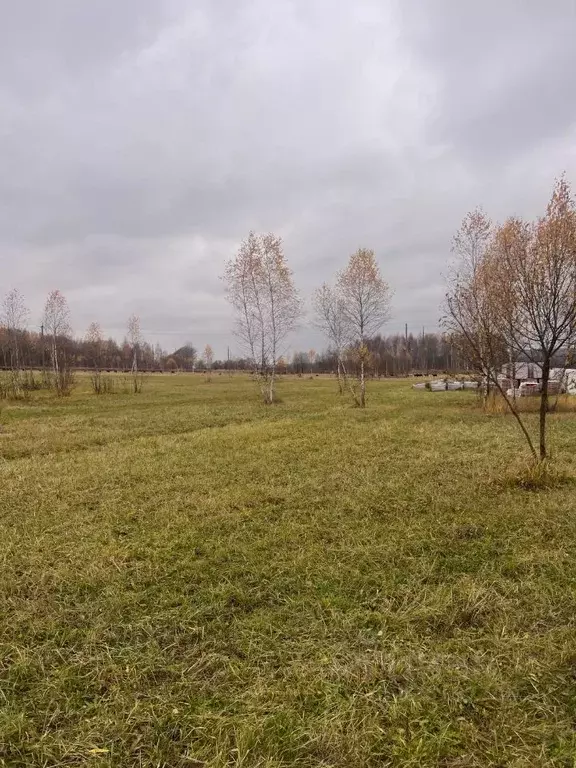 Участок в Тульская область, Щекинский район, Крапивенское с/пос, с. ... - Фото 2