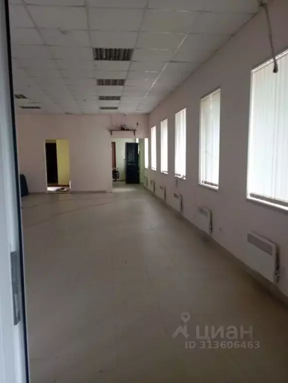 Торговая площадь в Ленинградская область, Сланцы Зеленая ул., 17А (95 ... - Фото 1