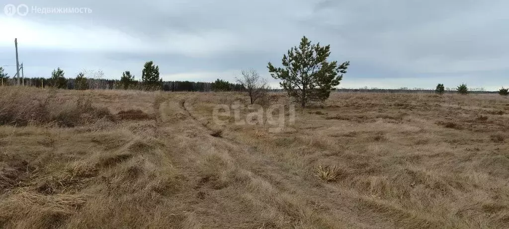 Участок в село Фирсово, микрорайон Рощино, улица Ползунова (9.8 м) - Фото 0