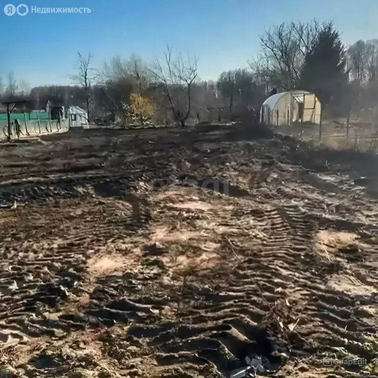 Участок в Калининград, СНТ Родник (5.9 м) - Фото 1