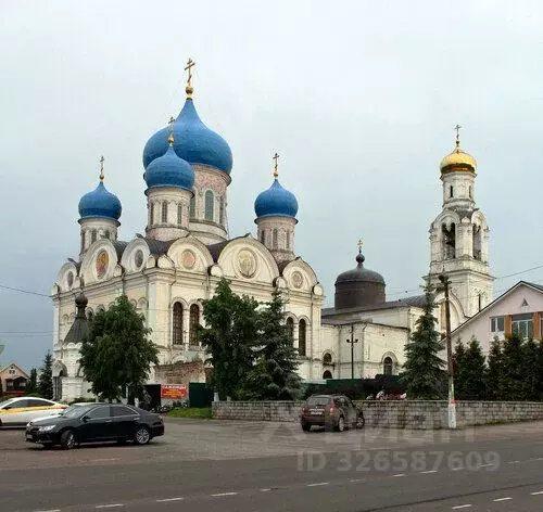 Участок в Московская область, Дмитровский муниципальный округ, с. ... - Фото 2