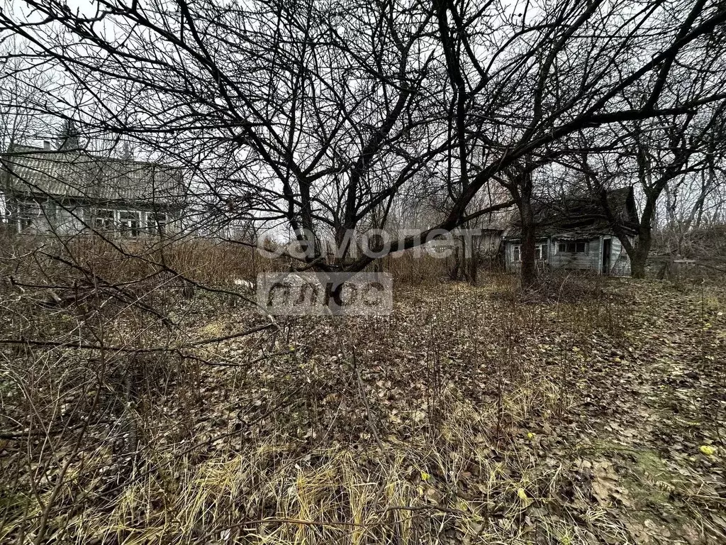 Участок в Нижегородская область, Нижний Новгород Маяк садовое ... - Фото 1