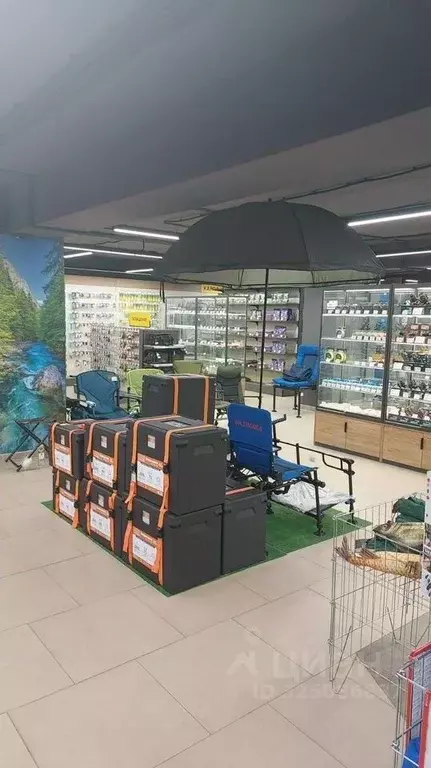 Помещение свободного назначения в Татарстан, Казань ул. Мусина, 61в ... - Фото 2