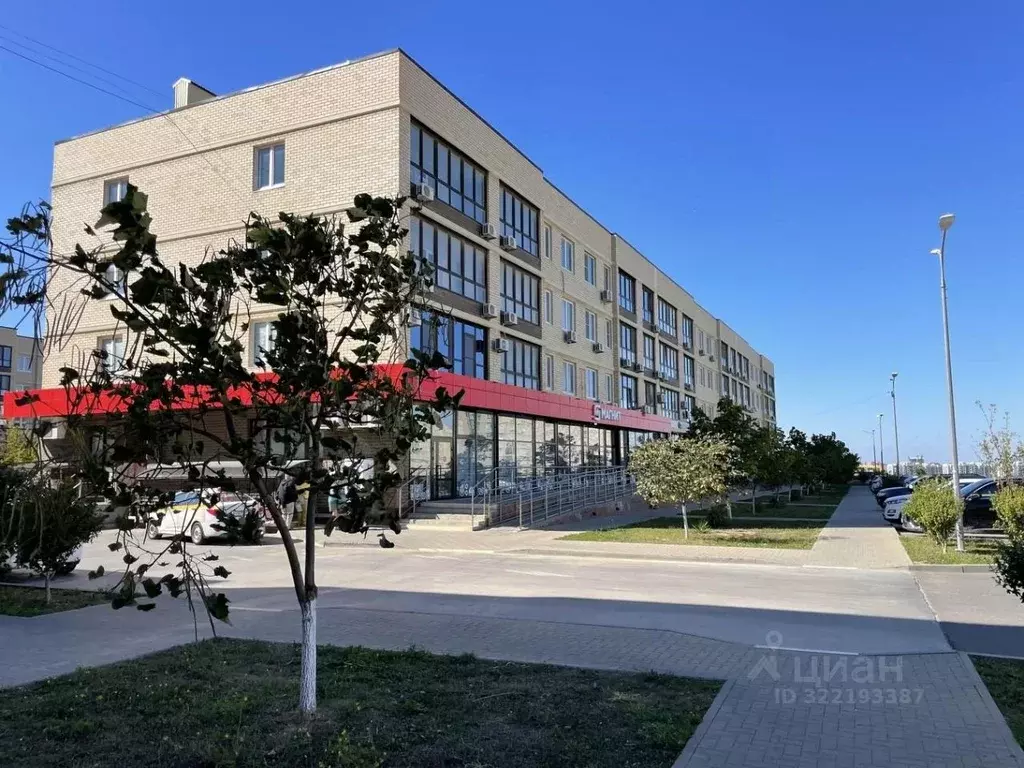 Помещение свободного назначения в Краснодарский край, Анапа ул. ... - Фото 1