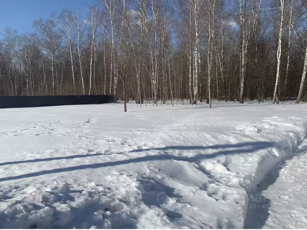 Участок в Московская область, Домодедово городской округ, д. Ивановка, ... - Фото 1