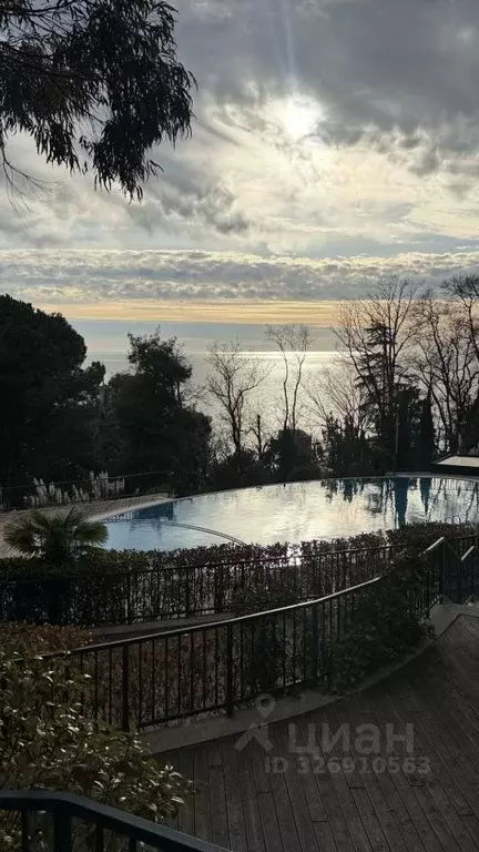 Студия Краснодарский край, Сочи Курортный просп., 105 (44.0 м) - Фото 1