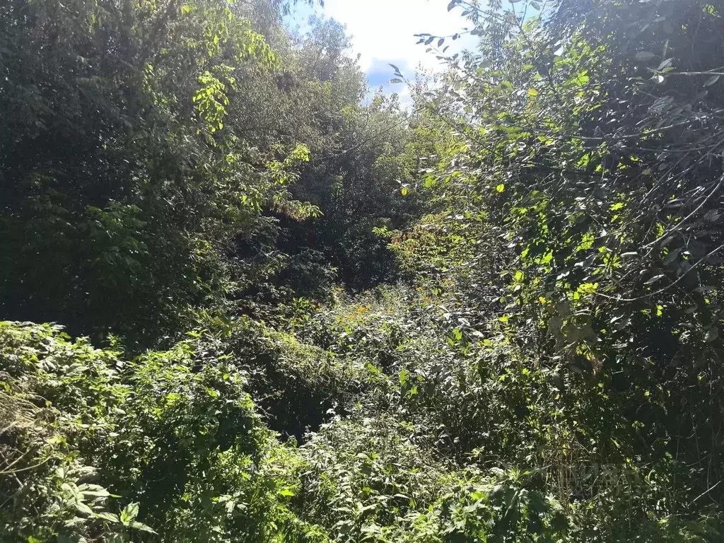 Участок в Московская область, Коломна  (9.01 сот.) - Фото 1