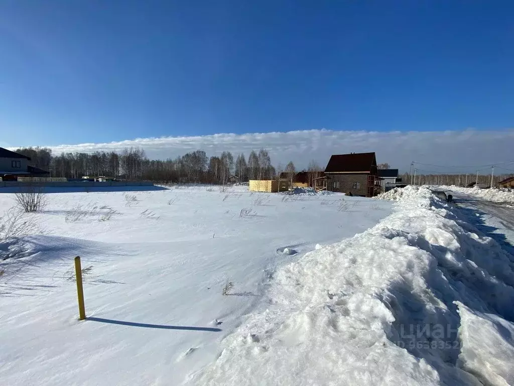 Участок в Новосибирская область, Новосибирский район, Барышевский ... - Фото 0