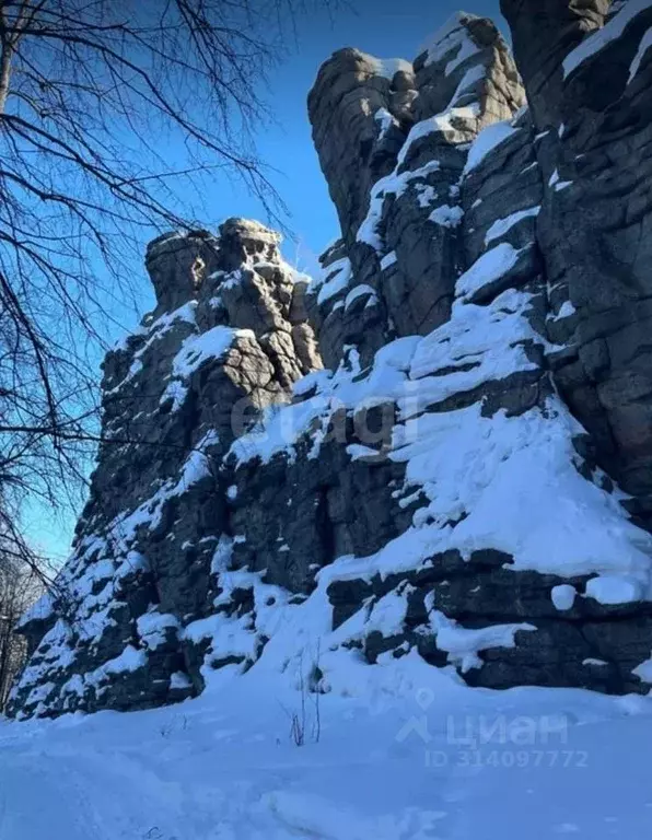 Участок в Свердловская область, Верх-Нейвинский пгт ул. Ленина (11.9 ... - Фото 1