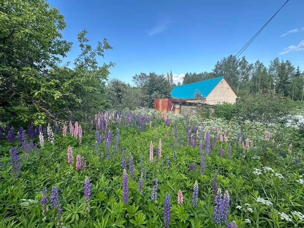 Участок в Владимирская область, Александровский район, Следневское ... - Фото 0