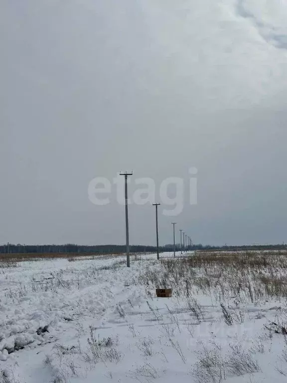 Участок в Тюменская область, Тюменский муниципальный округ, ... - Фото 1