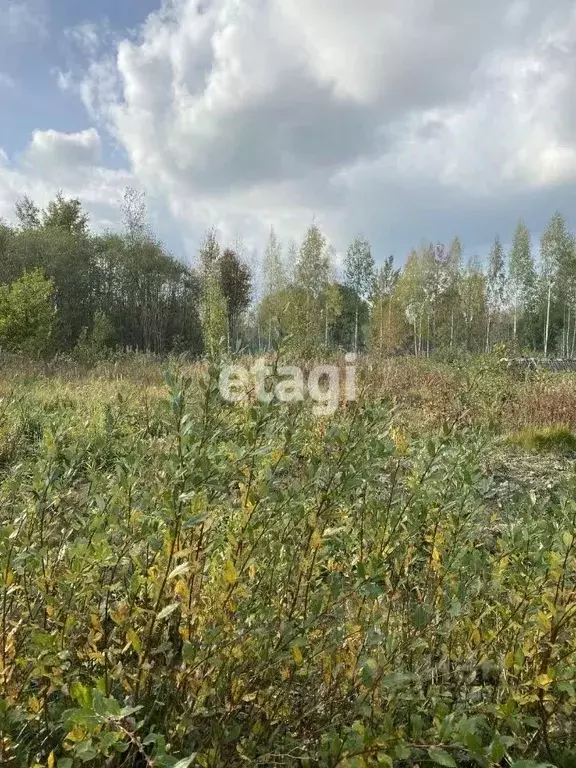 Участок в Ленинградская область, Тосненский район, Ульяновское ... - Фото 0