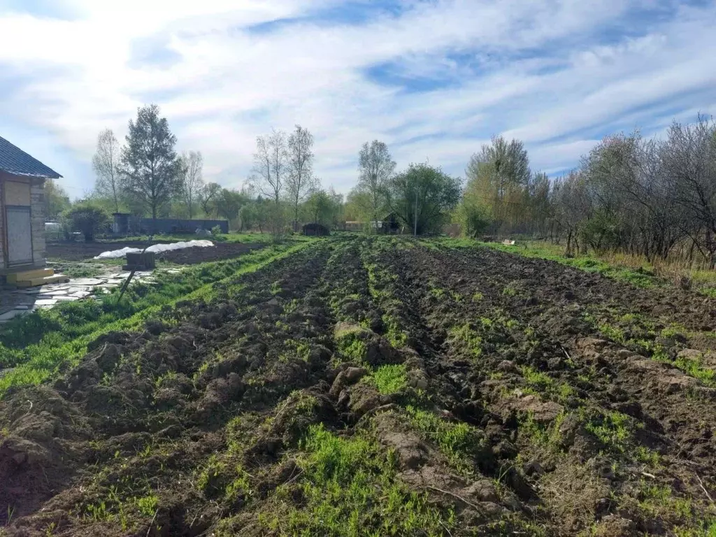 Участок в Хабаровский край, Хабаровский район, Тополевское с/пос, с. ... - Фото 2