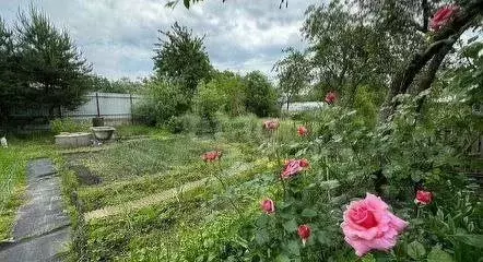 Участок в Калининградская область, Калининград Радуга СНТ, ул. 3-я ... - Фото 1