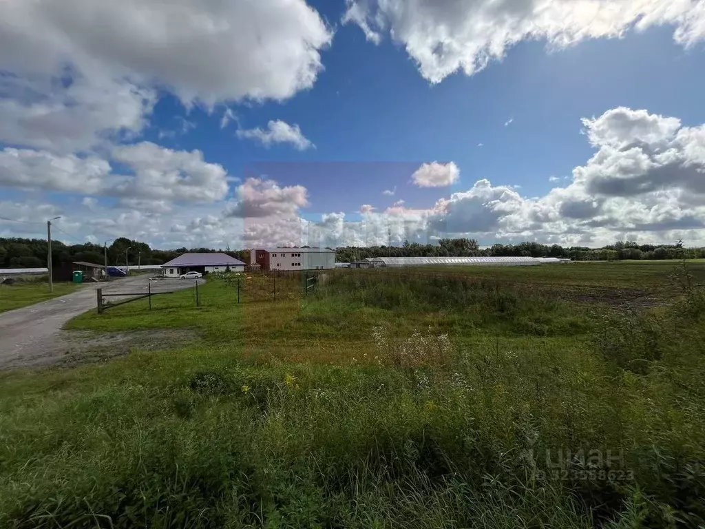 Производственное помещение в Калининградская область, Зеленоградский ... - Фото 1