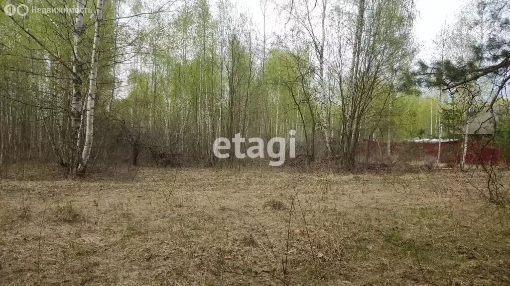Участок в Петушинский район, муниципальное образование Пекшинское, ... - Фото 1