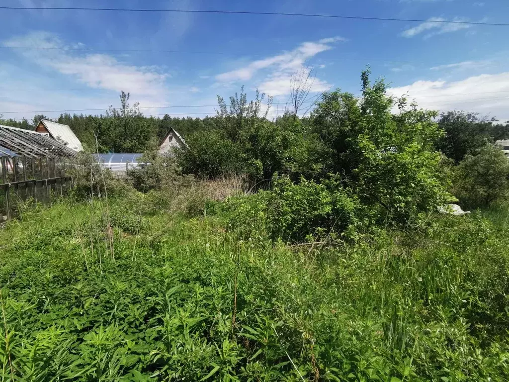 Дом в Свердловская область, Екатеринбург Академстрой СНТ,  (20 м) - Фото 0