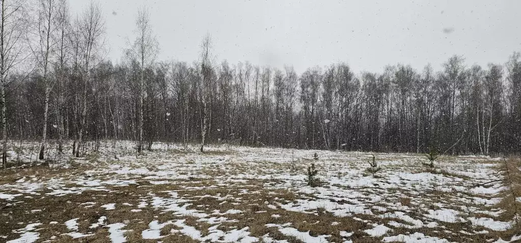Участок в Московская область, Луховицы муниципальный округ, д. Берхино ... - Фото 0