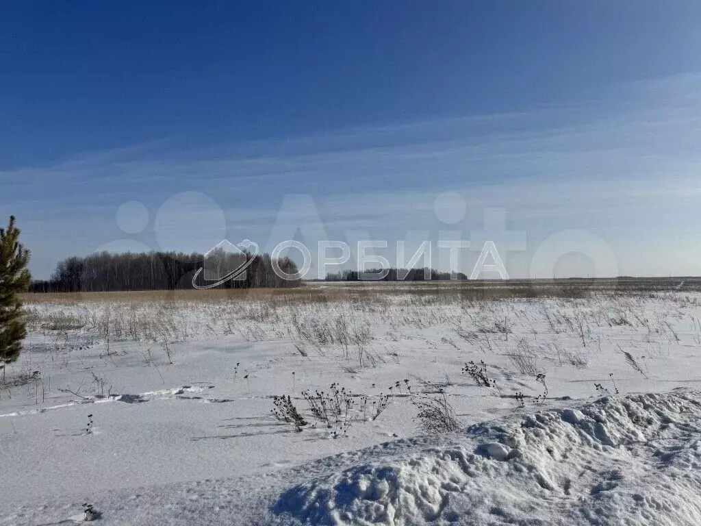 Участок 6,4 сот. (СНТ, ДНП) - Фото 1