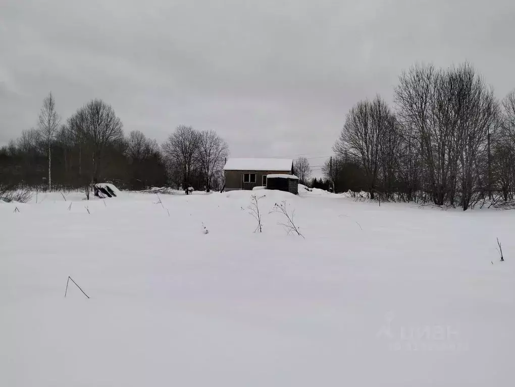 Участок в Московская область, Шаховская муниципальный округ, д. Паново ... - Фото 0