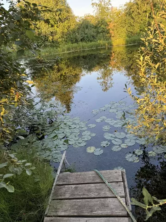 Участок в Ленинградская область, Тосненский район, Красноборское ... - Фото 1