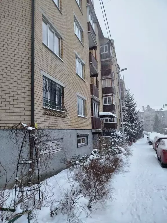 1-к кв. Калининградская область, Калининград ул. Сержанта Мишина, 3 ... - Фото 1