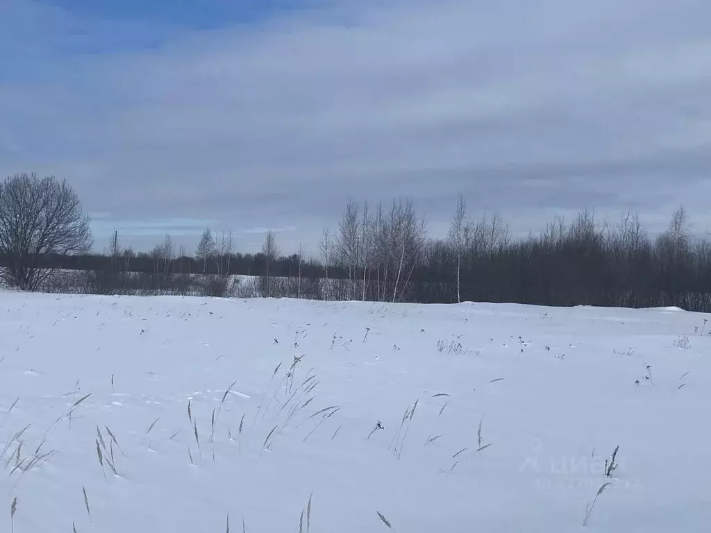 Участок в Московская область, Луховицы  (12.0 сот.) - Фото 1