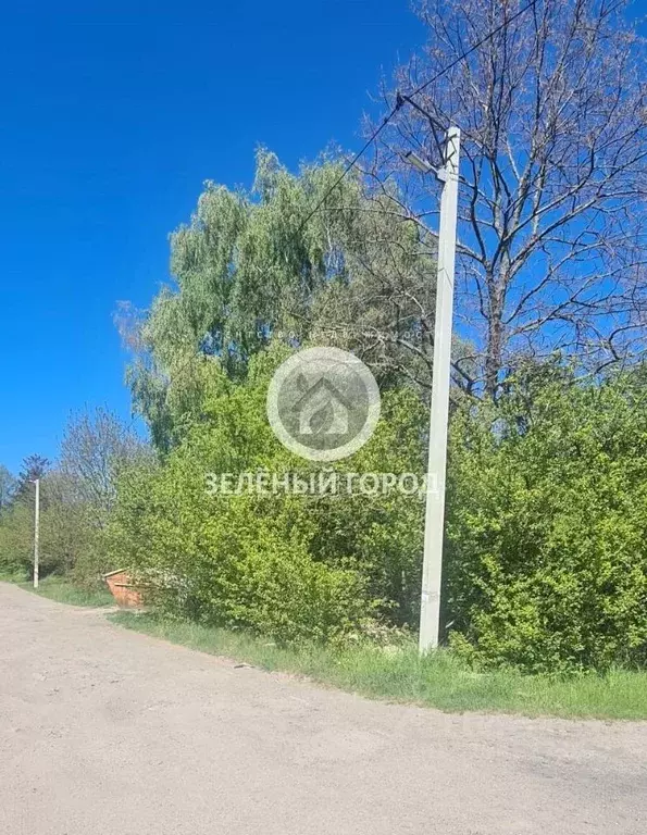 Участок в Калининградская область, Пионерский Ягодка СНТ,  (6.0 сот.) - Фото 1