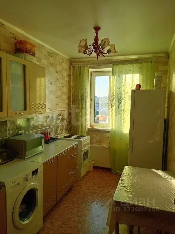 2-к кв. Ямало-Ненецкий АО, Новый Уренгой Сибирская ул., 85 (44.5 м) - Фото 2