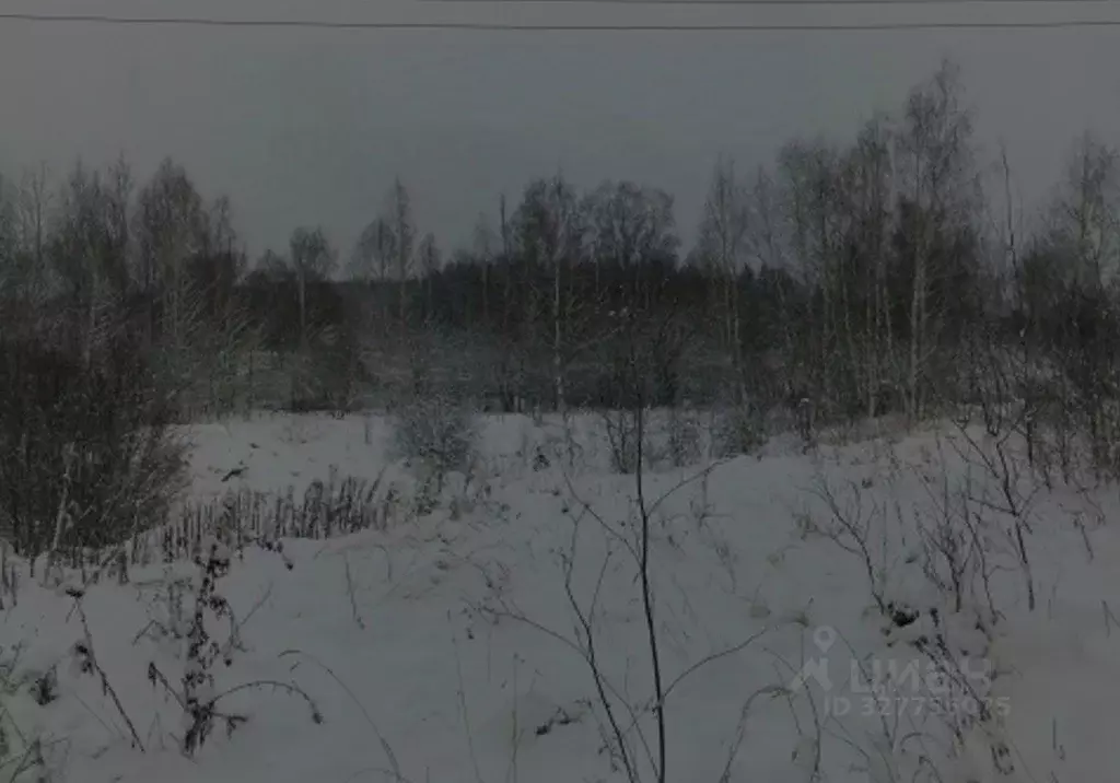 Участок в Московская область, Чехов муниципальный округ, д. Голыгино  ... - Фото 1